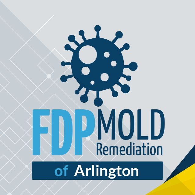FDP Mold Remediation of Arlington review
